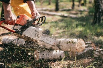 5 Benefits of Forestry Mulching for Landowners