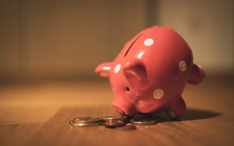 How to Save Money on Pet Supplies Without Compromising Quality