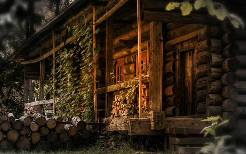 Customizing Your Log Cabin Kit: Personalizing Every Detail