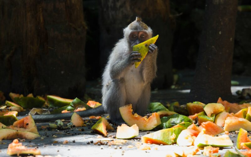 Food Waste Isn’t Just a Sustainability Issue—It’s a Business Risk