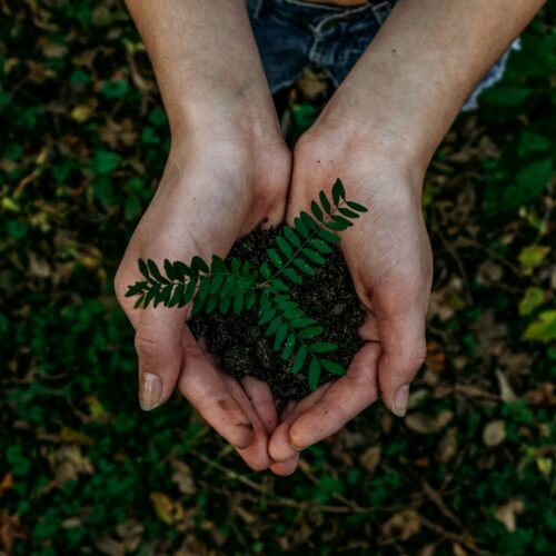 Stopping PFAS at the Source: A Smarter Path to Sustainability