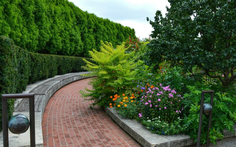 Exploring Native Plants for Sustainable Landscaping