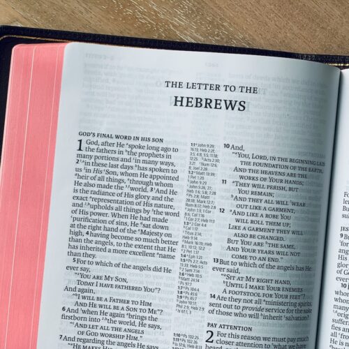 Adam and Daniel Kaplan Explore Hebrew in Every Holiday: From Passover’s Haggadah to Purim’s Megillah