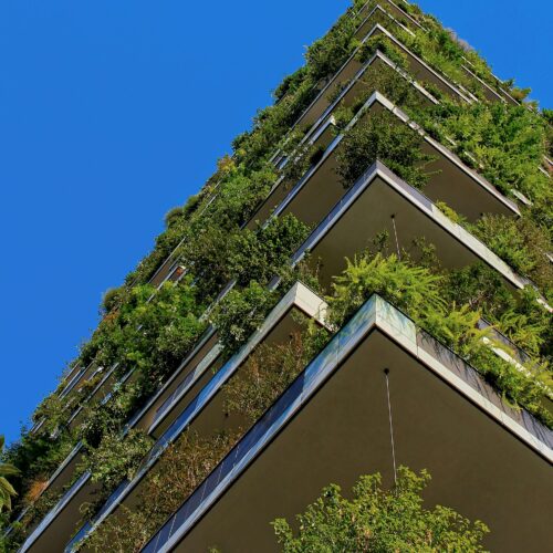 Sustainable Practices in Masonry Construction: Key Strategies for a Greener Future