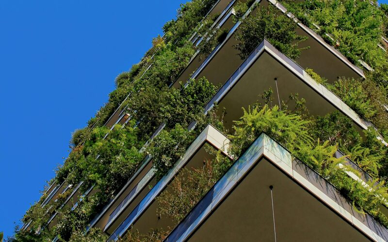 Sustainable Practices in Masonry Construction: Key Strategies for a Greener Future